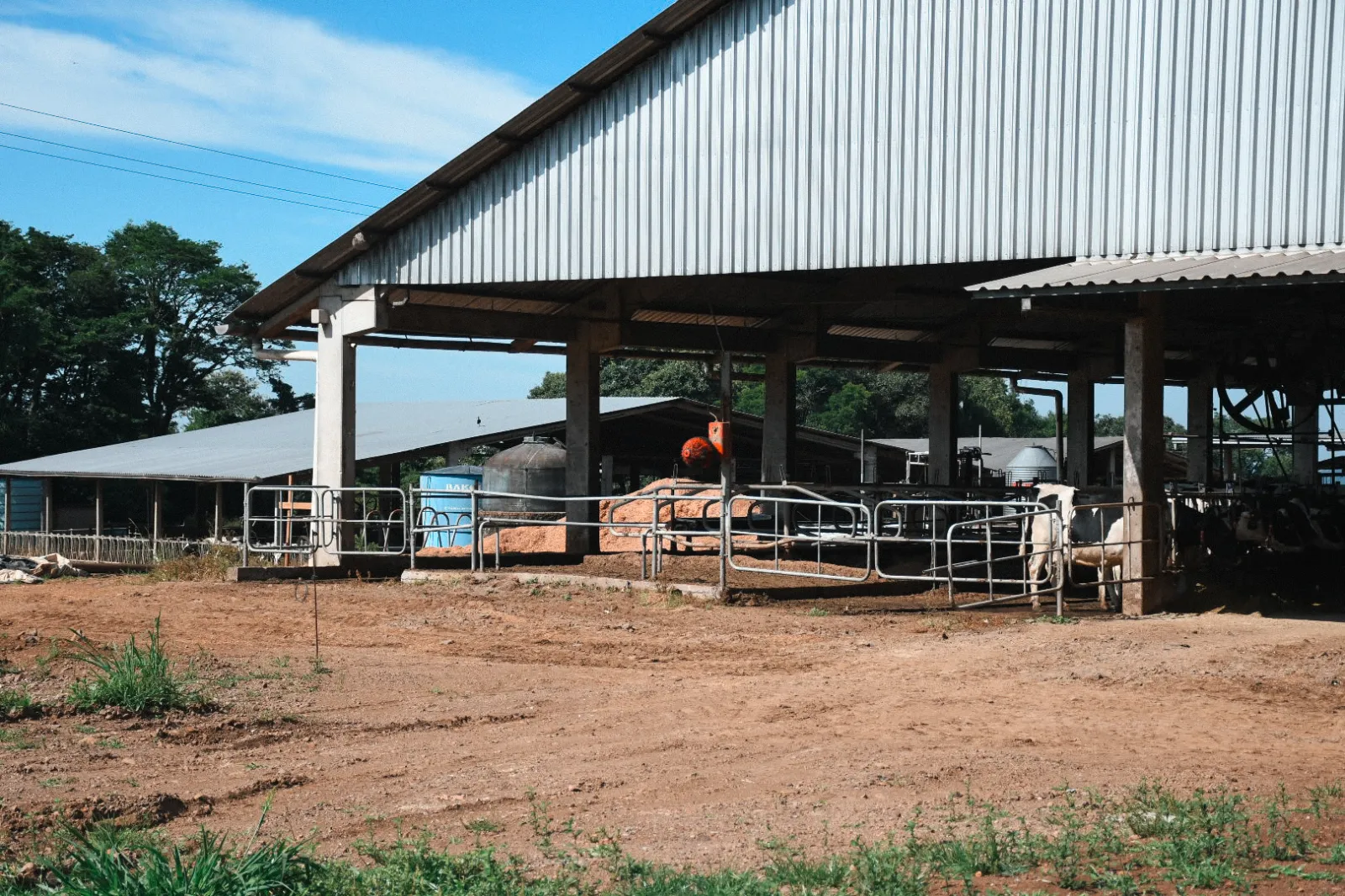 Prefeitura realiza terraplanagem para ampliao de propriedade produtiva